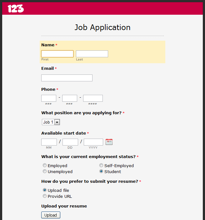 Online Job Application Form